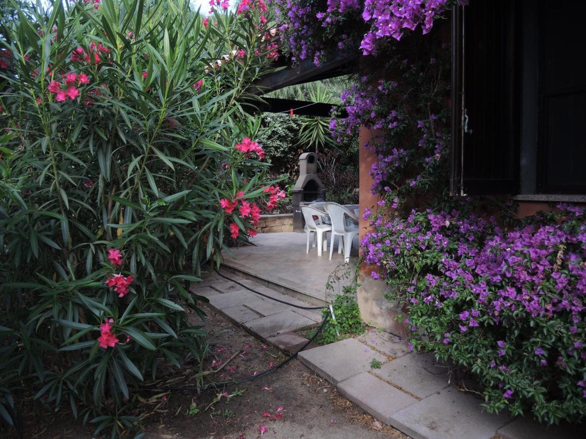 Maison De Vacances Dans Un Village De Vacances A100 M. De La Plage Badesi Exterior foto